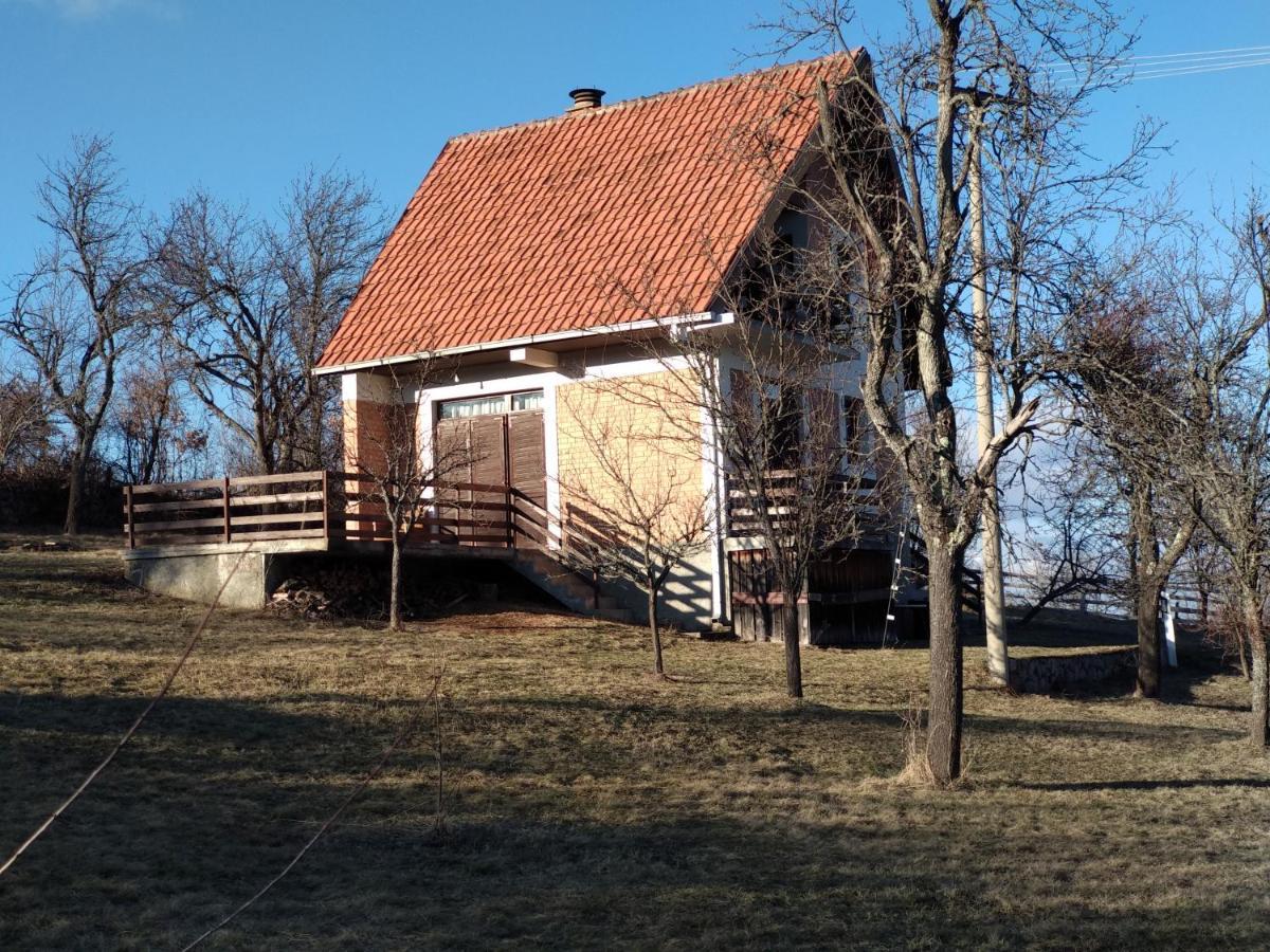 Srdica Kuca Villa Trnava  Luaran gambar