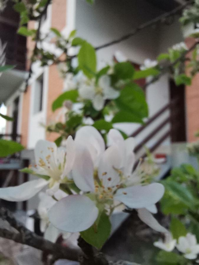 Srdica Kuca Villa Trnava  Luaran gambar