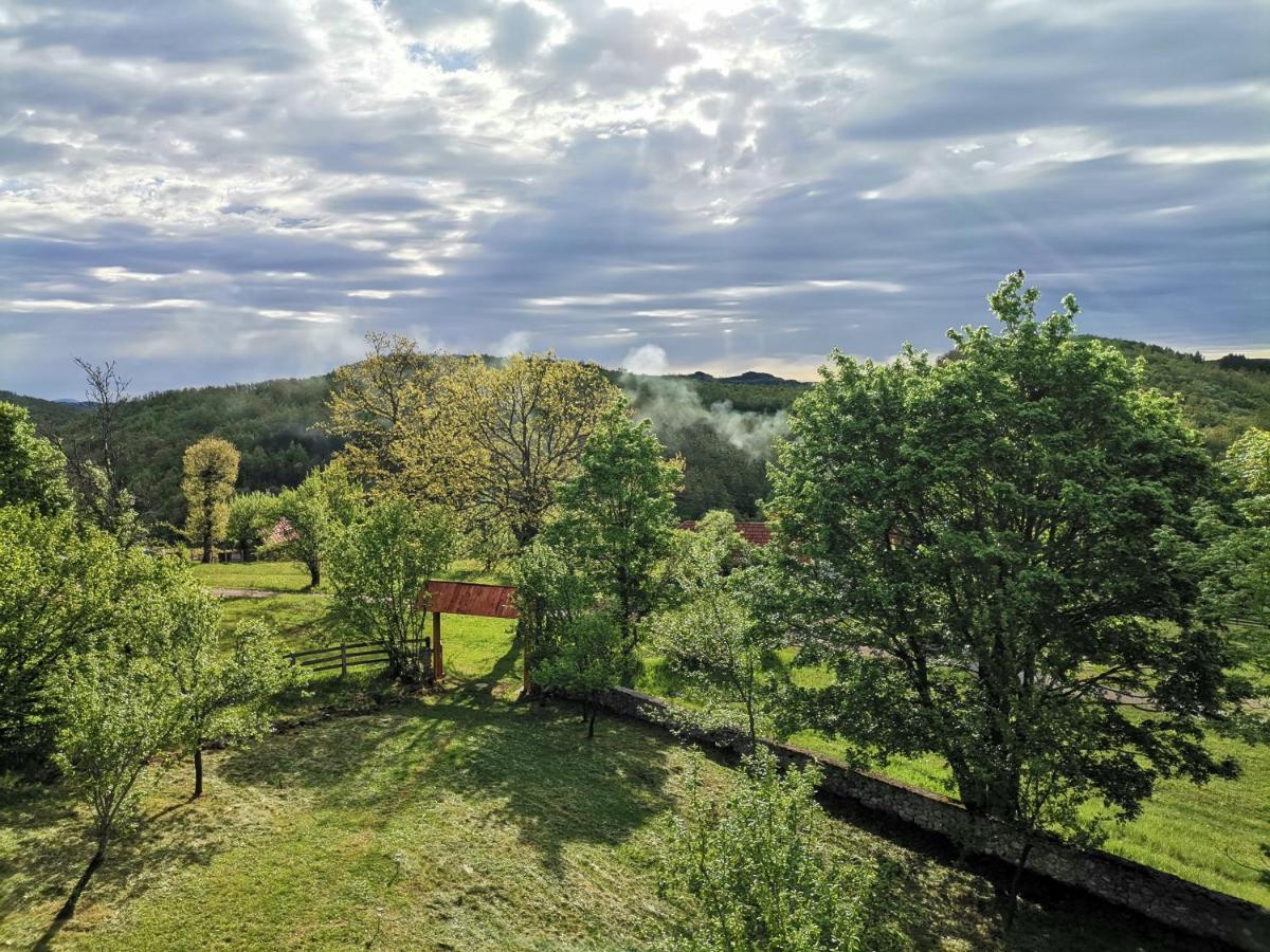 Srdica Kuca Villa Trnava  Luaran gambar